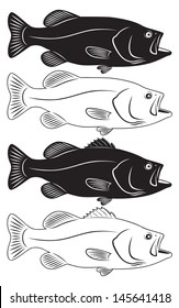 the figure shows sea bass