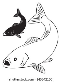 the figure shows sea bass