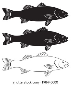 the figure shows seabass