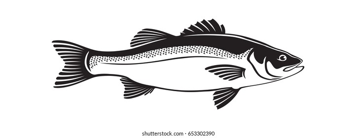 the figure shows seabass