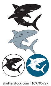 the figure shows a shark