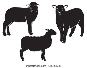 The figure shows a sheep