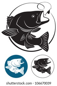 the figure shows Sriped Bass fish