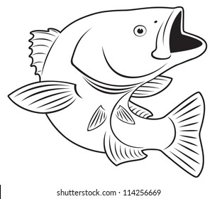 the figure shows Sriped Bass fish