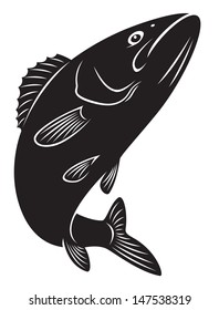 the figure shows Sriped Bass fish