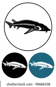 the figure shows the sturgeon