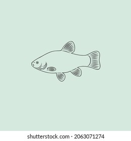 The figure shows a tench fish