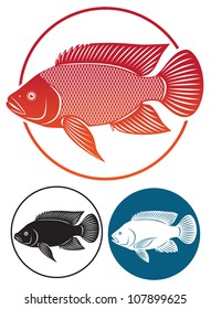 Tilapia Fish Popular Royalty-Free Vectors | Imageric.com