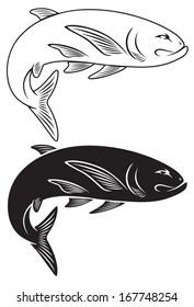 the figure shows a trout