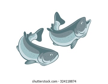 the figure shows a trout