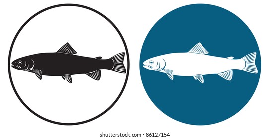the figure shows a trout fish