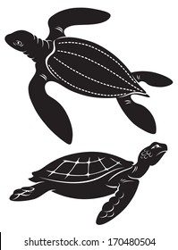 the figure shows the turtle