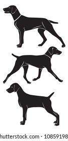 the figure shows a Weimaraner dog