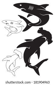 The figure shows a white shark