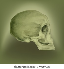 Figure skull profile. Vector