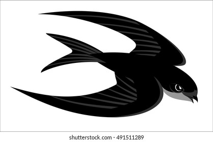 Figure swift in flight, vector image of a bird on a white background.