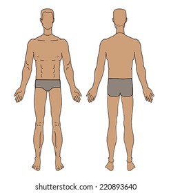 figure torso men vector