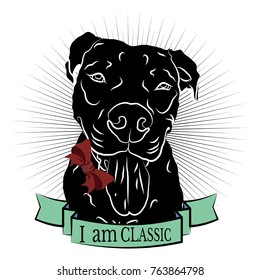 Figure for T-shirt with mastiff.