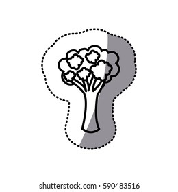 figure vegetable broccoli icon, vector illustraction design image