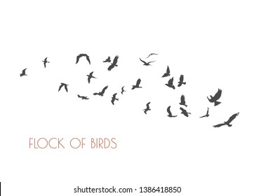 figures flock of flying birds on white background