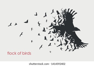 figures flock of flying birds on white background