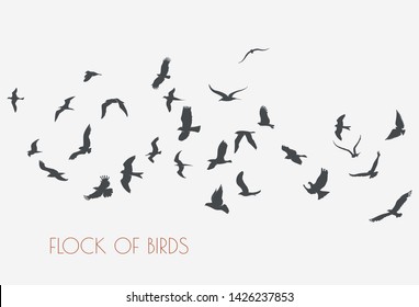 figures flock of flying birds on white background