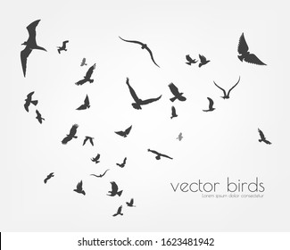 figures flock of flying birds on white background