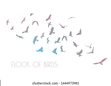 figures multicolored flock of flying birds on white background