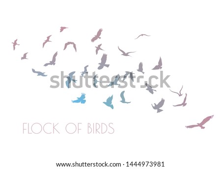 figures multicolored flock of flying birds on white background