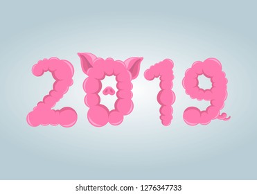 Figures of the new 2019 as a symbol of the year - pink pig.