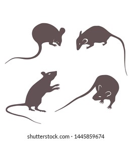 figures of rats and mice on a white background, vector