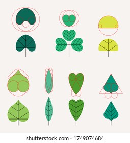 figures show how to use different geometric shapes on the creation of leaves