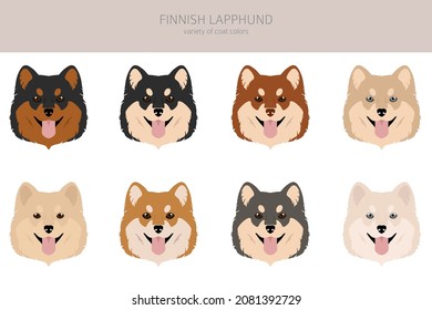 Fiinnish lapphund clipart. Different poses, coat colors set.  Vector illustration