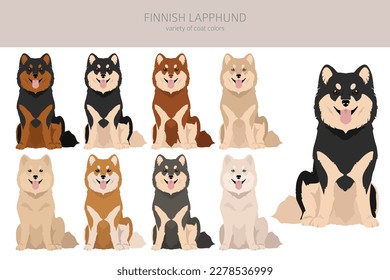 Fiinnish lapphund clipart. Different poses, coat colors set.  Vector illustration