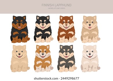 Fiinnish lapphund puppy clipart. Different poses, coat colors set.  Vector illustration