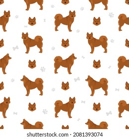 Fiinnish spitz seamless pattern. Different poses, coat colors set.  Vector illustration