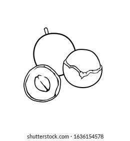 Fijian longan black and white vector for all purpose