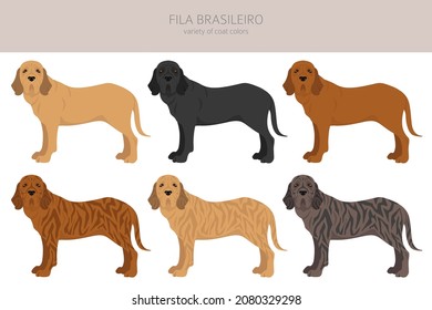 Fila Brasileiro clipart. Different poses, coat colors set.  Vector illustration