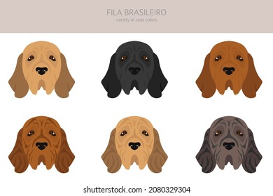 Fila Brasileiro clipart. Different poses, coat colors set.  Vector illustration