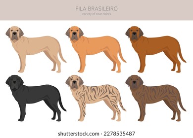 Fila Brasileiro clipart. Different poses, coat colors set.  Vector illustration