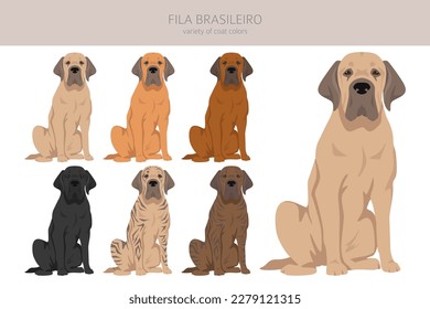 Fila Brasileiro clipart. Different poses, coat colors set.  Vector illustration