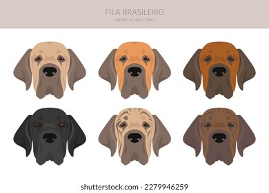 Fila Brasileiro clipart. Different poses, coat colors set.  Vector illustration