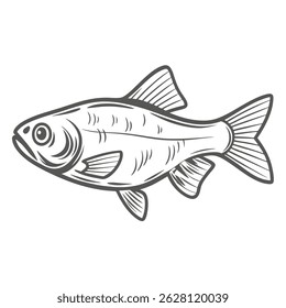 Filamento Barb Peixe Linha Arte Ilustração