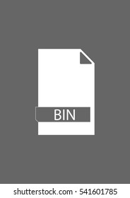File formats icon, BIN