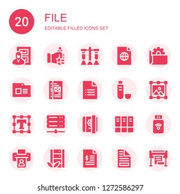 file icon set. Collection of 20 filled file icons included Files, Pencil, Test, File, Folder, Binder, Usb, Image, Text editor, Server, Diary, Archive, Pendrive, Printer, Invoice
