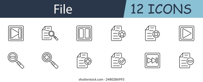 File set icon. Play, pause, search, star, delete, add, zoom in, zoom out, forward, backward, document, checkmark. Document management, multimedia control, file operations concept.