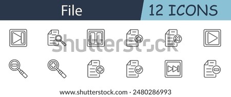 File set icon. Play, pause, search, star, delete, add, zoom in, zoom out, forward, backward, document, checkmark. Document management, multimedia control, file operations concept.