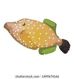 Filefish Vector Illustration Isolated On White Background