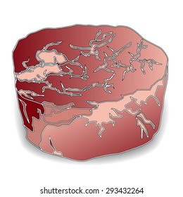 Filet Mignon isolated