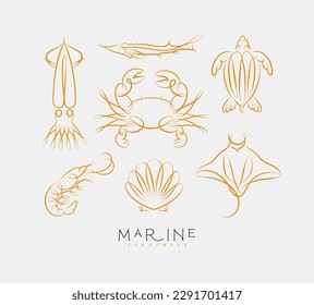 Filigree swirl sea and ocean creatures squid, fish, crab, turtle, shrimp, stingray, shell, scallop drawing on light background